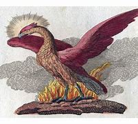 Image result for Phoenix Bird Rebirth