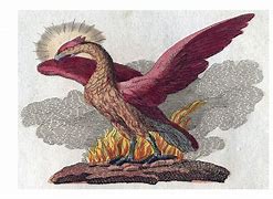 Image result for Egyptian Phoenix Symbol