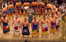 Image result for Sumo Wrestling Champion