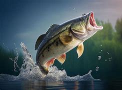 Image result for Bass Out of Water HD