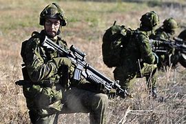 Image result for Canadian Military Armed Guards Ai