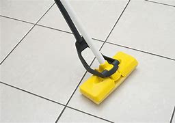 Image result for Sharp Mop Vac Pads