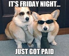 Image result for Payday Cat Meme