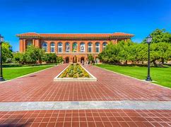 Image result for Big a University of Arizona