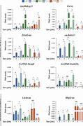 Image result for P53 qPCR