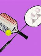 Image result for Pickleball vs Badminton