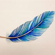 Image result for Colored Pencil Feather Drawing