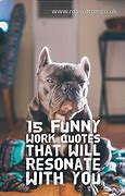 Image result for Short Daily Quotes for Work Funny