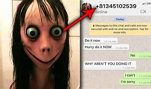 Image result for WhatsApp Phone Number