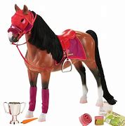 Image result for Thoroughbred Kids Horse