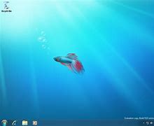 Image result for Windows 7 OS
