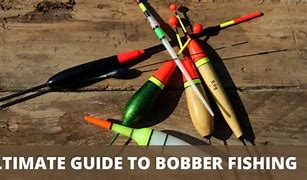 Image result for Bobber and Hook Fishing