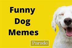Image result for Dank Dog Memes