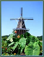 Image result for The Netherlands Windmills