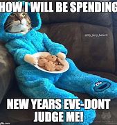 Image result for New Year's Eve Cat Meme