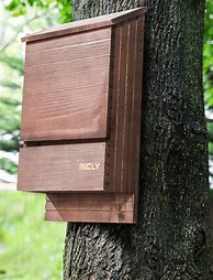 Image result for Large Bat Houses