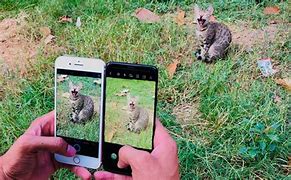 Image result for +iPhone S9 vs iPhone 7Plus Camera Quality