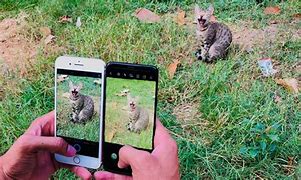 Image result for iPhone S9 vs iPhone 7Plus Camera Quality