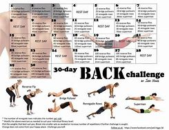Image result for Jodi 30-Day Back Challenge