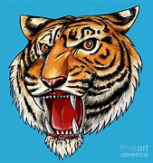 Image result for Drawn Tiger