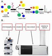 Image result for Liquid Chromatography (LC)
