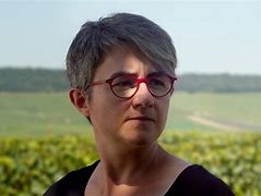 Image result for Champagne Agnes Corbon