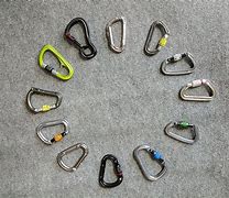 Image result for Double Gate Safety Carabiner