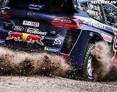 Image result for WRC Rally Arch