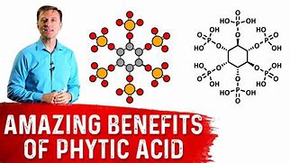 Image result for phytic acids benefit