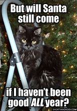 Image result for Cat with Christmas Hat Meme