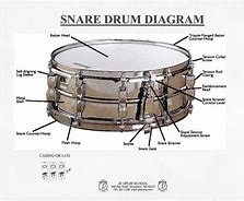 Image result for Parts of Snare