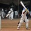 Image result for Cricket Bat Pic