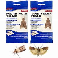 Image result for Moth Traps