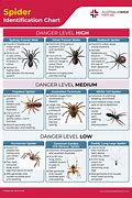 Image result for USA Spider Chart