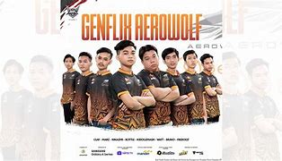 Image result for aerowol