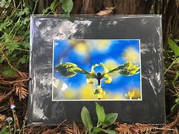Image result for 5X7 Matted Prints