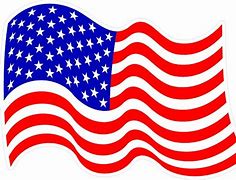 Image result for Patriot Flag Stickers