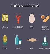 Image result for Big 9 Allergens
