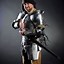 Image result for Medieval Guard Captain T-Shirt