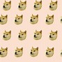 Image result for Doge Dog Type