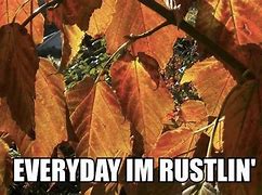 Image result for Sarcastic Fall Memes