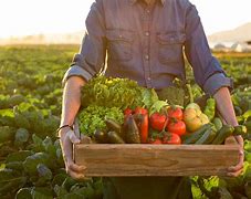 Image result for Local Harvest Farm