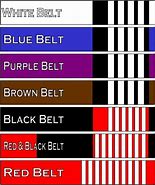 Image result for Jiu Jitsu Belts Color Order