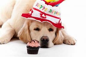 Image result for Happy Birthday Dog Emoji