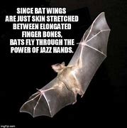 Image result for Old Bat Meme