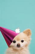 Image result for Cute Dog iPhone 10 Cases