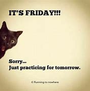 Image result for Friday Eve Cat Meme