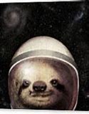 Image result for Sloth in Space Suit