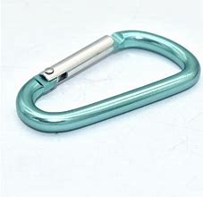 Image result for Blue Circular Carabiner