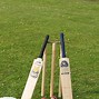 Image result for Cricket Bat and Ball Background